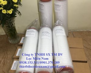 Lõi lọc vi sinh 10 inch 0.2 micron