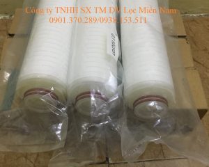 Lõi lọc giấy xếp 10 inch đầu nhọn 222